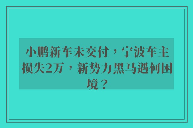 小鹏新车未交付，宁波车主损失2万，新势力黑马遇何困境？