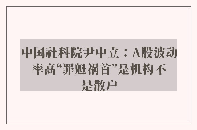 中国社科院尹中立：A股波动率高“罪魁祸首”是机构不是散户