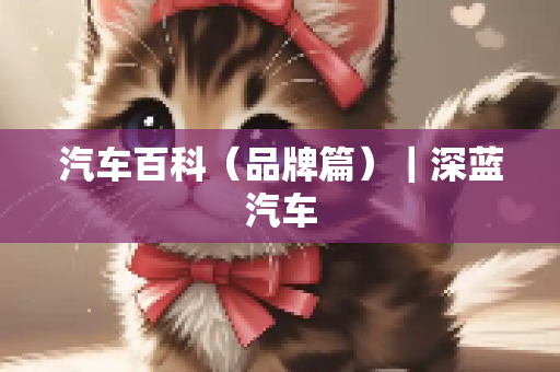 汽车百科（品牌篇）｜深蓝汽车