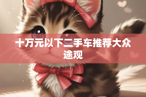 十万元以下二手车推荐大众途观