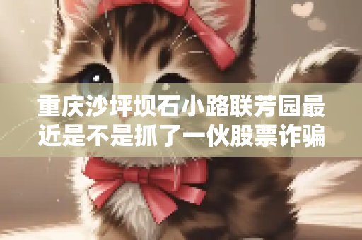 重庆沙坪坝石小路联芳园最近是不是抓了一伙股票诈骗的？