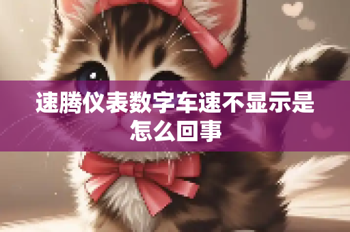 速腾仪表数字车速不显示是怎么回事