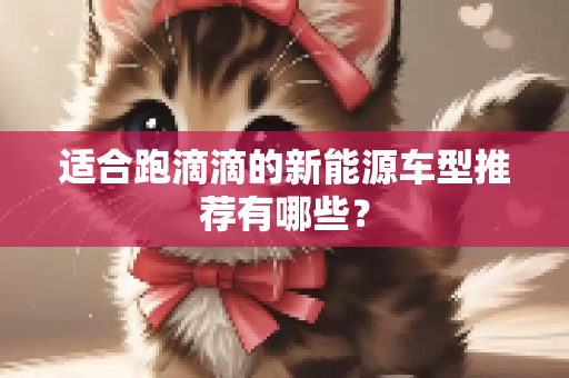 适合跑滴滴的新能源车型推荐有哪些？
