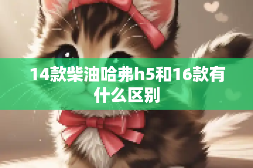 14款柴油哈弗h5和16款有什么区别