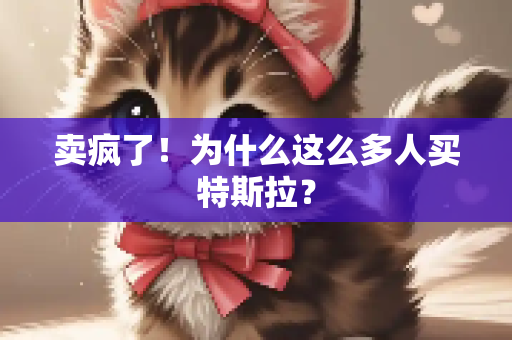 卖疯了！为什么这么多人买特斯拉？