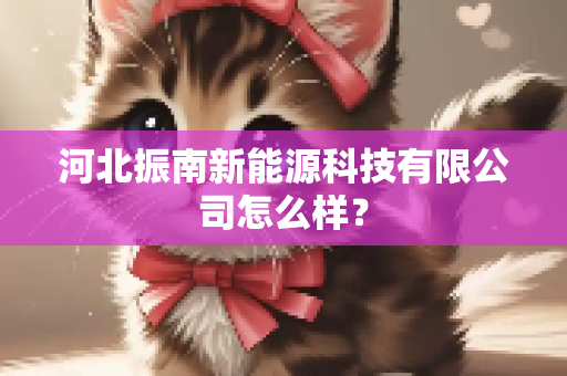 河北振南新能源科技有限公司怎么样？