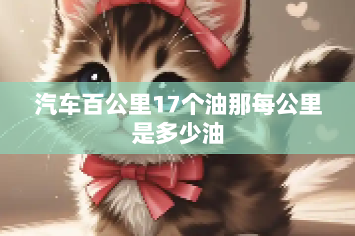 汽车百公里17个油那每公里是多少油