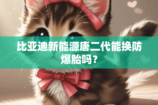 比亚迪新能源唐二代能换防爆胎吗？
