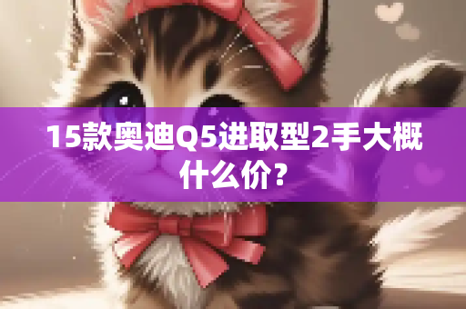 15款奥迪Q5进取型2手大概什么价？
