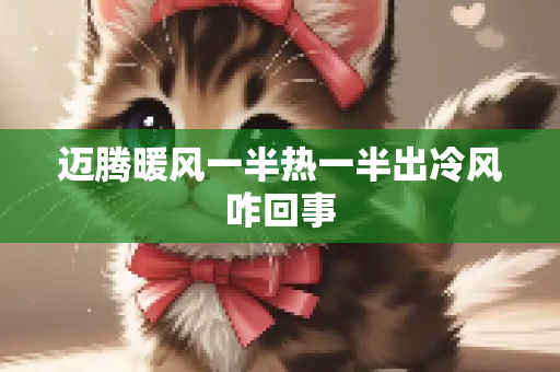 迈腾暖风一半热一半出冷风咋回事