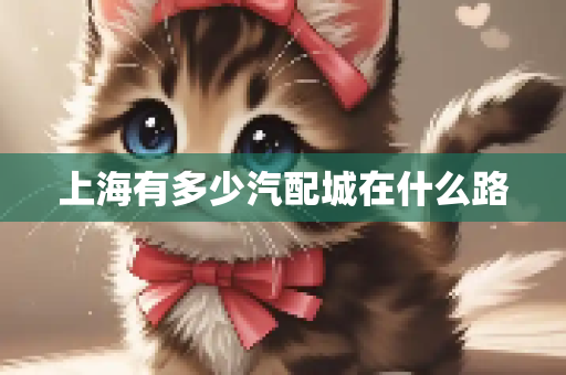 上海有多少汽配城在什么路