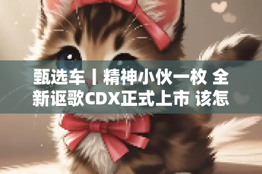 甄选车丨精神小伙一枚 全新讴歌CDX正式上市 该怎么选？