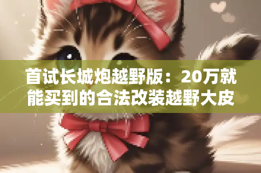 首试长城炮越野版：20万就能买到的合法改装越野大皮卡