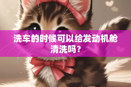 洗车的时候可以给发动机舱清洗吗？