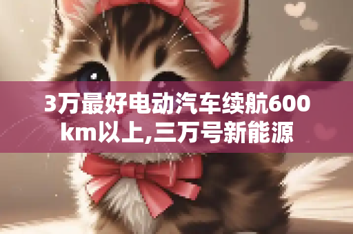 3万最好电动汽车续航600km以上,三万号新能源