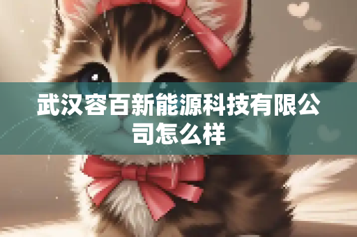 武汉容百新能源科技有限公司怎么样