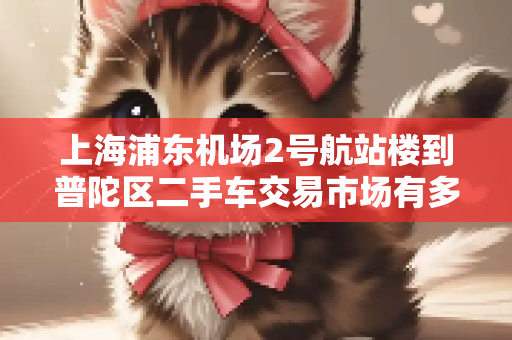 上海浦东机场2号航站楼到普陀区二手车交易市场有多远,怎么走