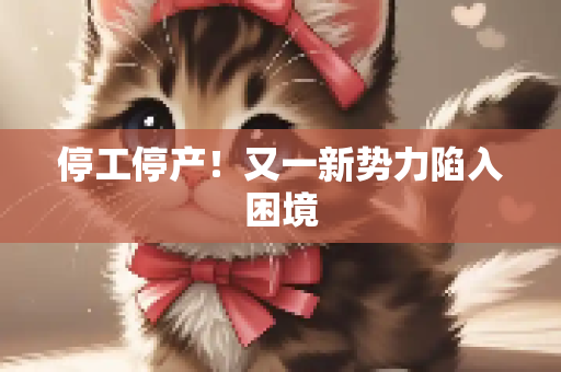 停工停产！又一新势力陷入困境