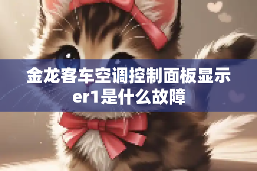 金龙客车空调控制面板显示er1是什么故障