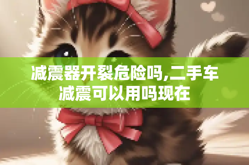 减震器开裂危险吗,二手车减震可以用吗现在