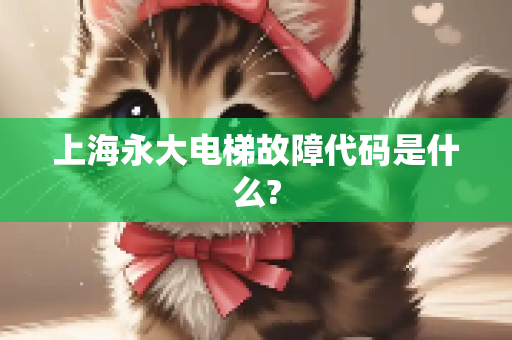 上海永大电梯故障代码是什么?