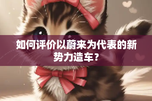 如何评价以蔚来为代表的新势力造车？