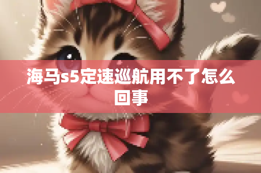 海马s5定速巡航用不了怎么回事