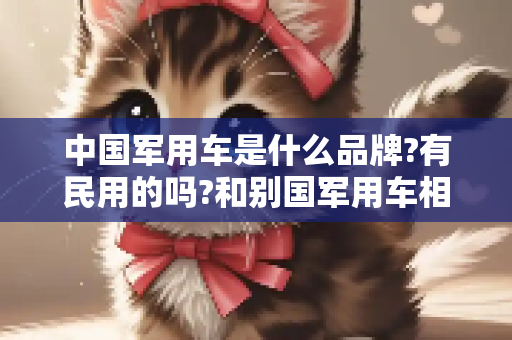 中国军用车是什么品牌?有民用的吗?和别国军用车相比如何?
