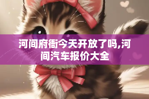 河间府衙今天开放了吗,河间汽车报价大全