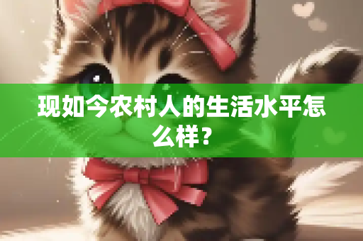 现如今农村人的生活水平怎么样？