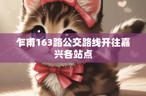 乍甫163路公交路线开往嘉兴各站点
