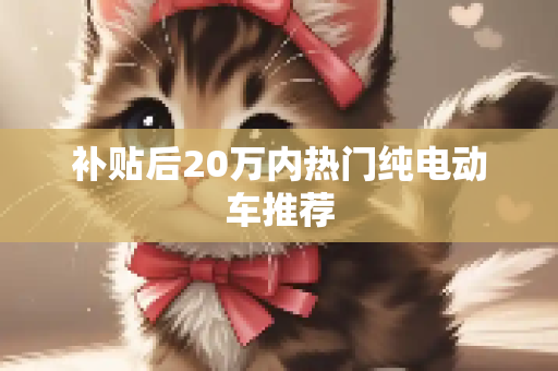 补贴后20万内热门纯电动车推荐
