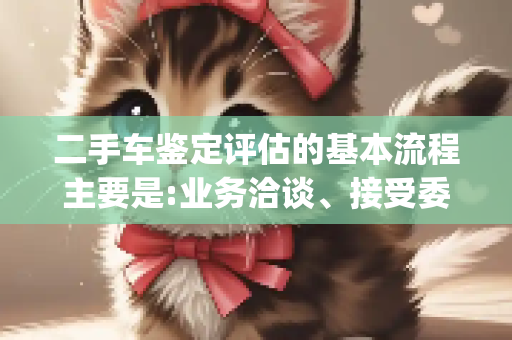 二手车鉴定评估的基本流程主要是:业务洽谈、接受委托和( )。