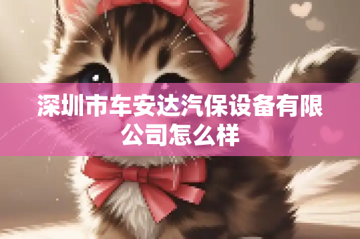 深圳市车安达汽保设备有限公司怎么样
