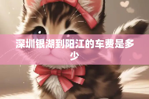 深圳银湖到阳江的车费是多少