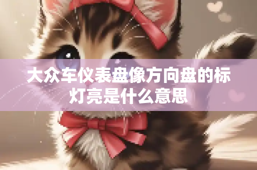 大众车仪表盘像方向盘的标灯亮是什么意思