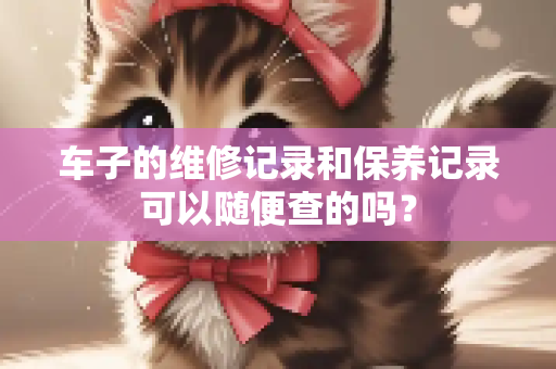 车子的维修记录和保养记录可以随便查的吗？