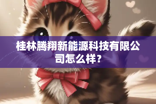 桂林腾翔新能源科技有限公司怎么样？