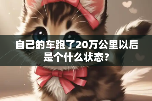 自己的车跑了20万公里以后是个什么状态？