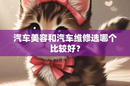汽车美容和汽车维修选哪个比较好？