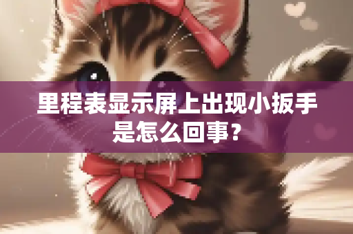 里程表显示屏上出现小扳手是怎么回事？