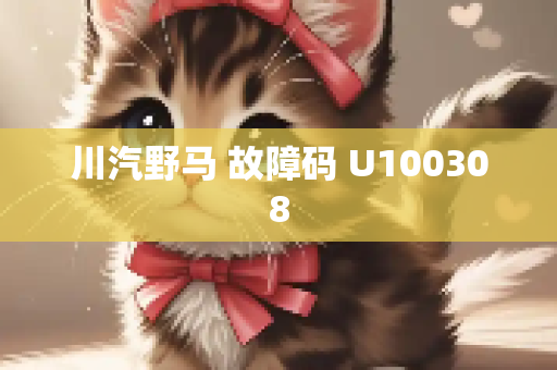 川汽野马 故障码 U100308