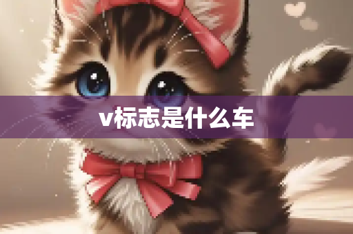 v标志是什么车