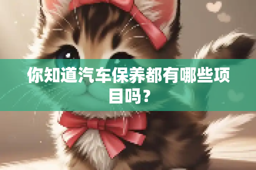 你知道汽车保养都有哪些项目吗？