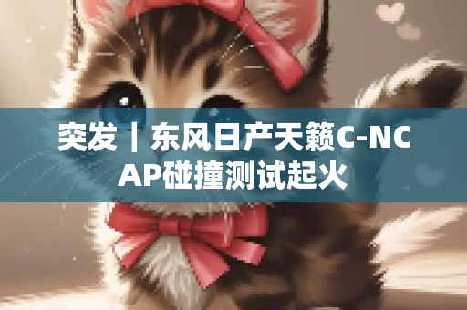 突发｜东风日产天籁C-NCAP碰撞测试起火
