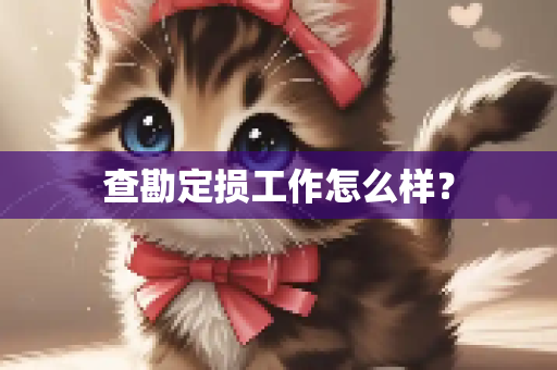 查勘定损工作怎么样？