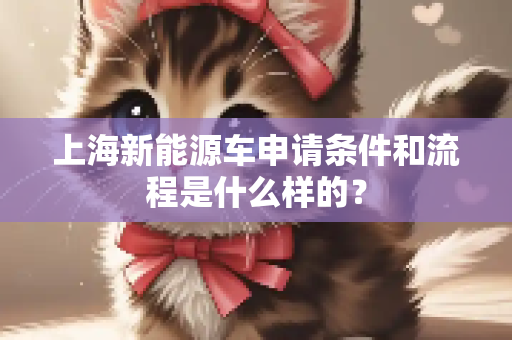 上海新能源车申请条件和流程是什么样的？