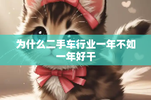 为什么二手车行业一年不如一年好干