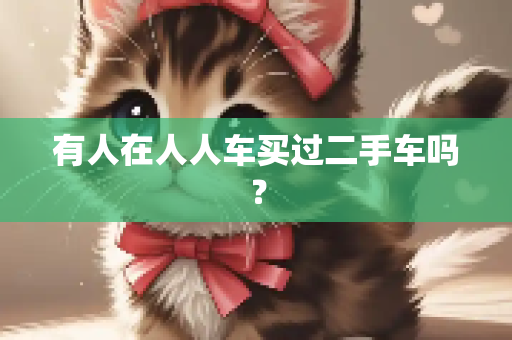 有人在人人车买过二手车吗？