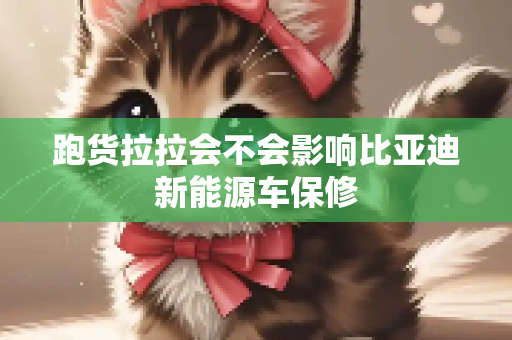 跑货拉拉会不会影响比亚迪新能源车保修